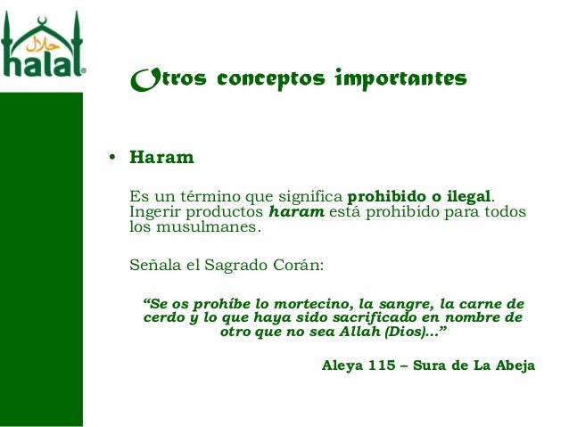 Fatwa Mui Forex Halal Atau Haram Menurut Syariat Islam Broker - 